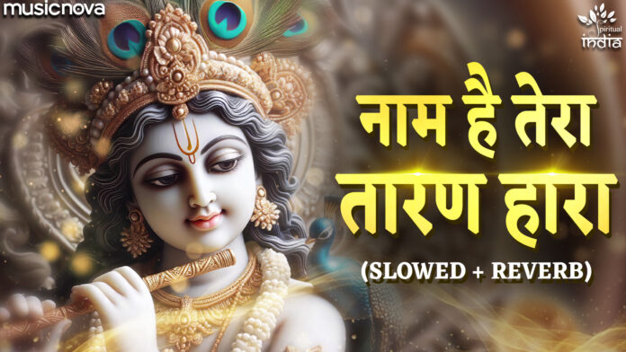 Naam Hai Tera Taran Hara - Krishna Bhajan Lofi
