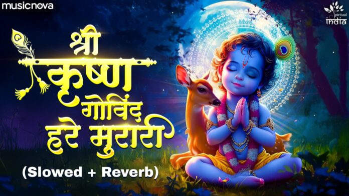 Shri Krishna Govind Hare Murari Lofi with Lyrics